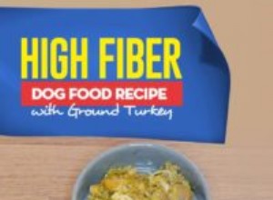 Recette :Nourriture pour chiens riche en fibres avec dinde hachée
