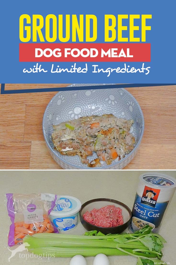 Receita:Refeição de carne moída para cachorro com ingredientes limitados