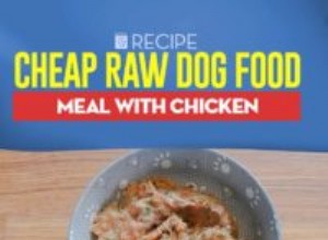 Receita:Refeição barata de comida de cachorro crua com frango