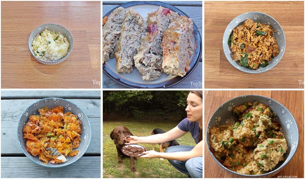 12 domande più comuni che mi vengono poste sul cibo per cani fatto in casa