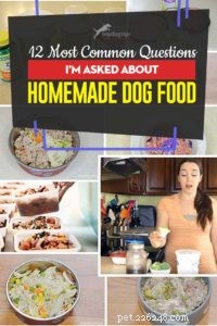12 nejčastějších otázek, které se mě ptají na domácí krmivo pro psy