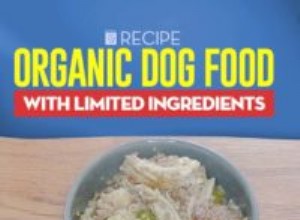 Recette :Nourriture biologique pour chiens avec des ingrédients limités