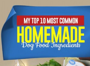 Meus 10 principais ingredientes caseiros mais comuns para alimentos para cães