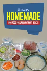 Recette :Nourriture maison pour chien pour la santé des voies urinaires