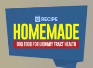Recept:Hemlagad hundmat för urinvägshälsa