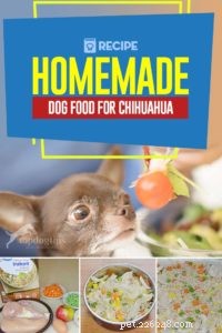 Recept:Domácí krmivo pro psy pro čivavu
