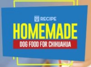 Recept:Domácí krmivo pro psy pro čivavu