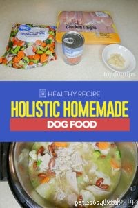 Receita:comida caseira holística para cães