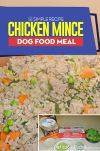 Ricetta:pasto per cani con carne macinata di pollo