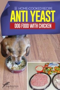 Recept:hondenvoer tegen gist met kip