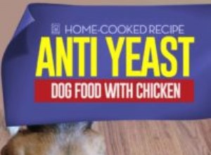 레시피:닭고기를 곁들인 항 효모균 개밥