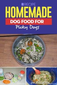 레시피:까다로운 개를 위한 집에서 만든 개밥