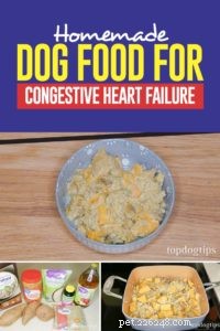 Рецепт:Домашний корм для собак при застойной сердечной недостаточности