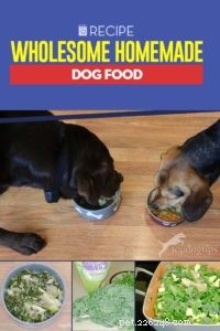 Receita:comida caseira saudável para cães