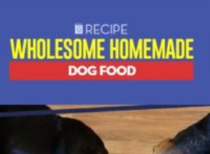 Recette :Nourriture pour chien maison saine 