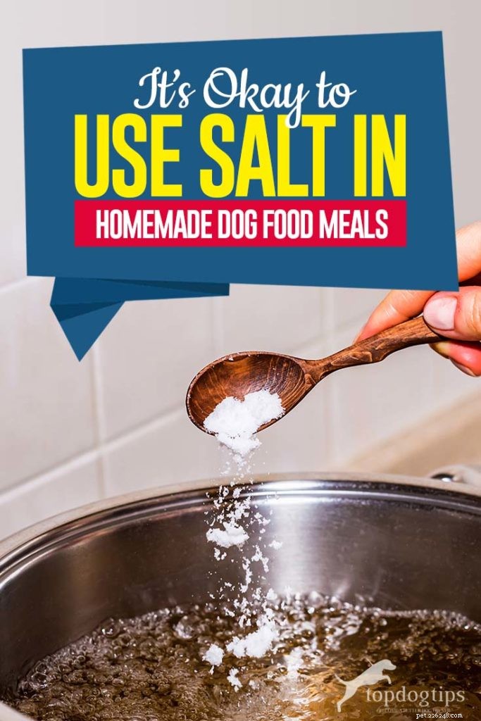 Använda salt i hemlagad hundmat