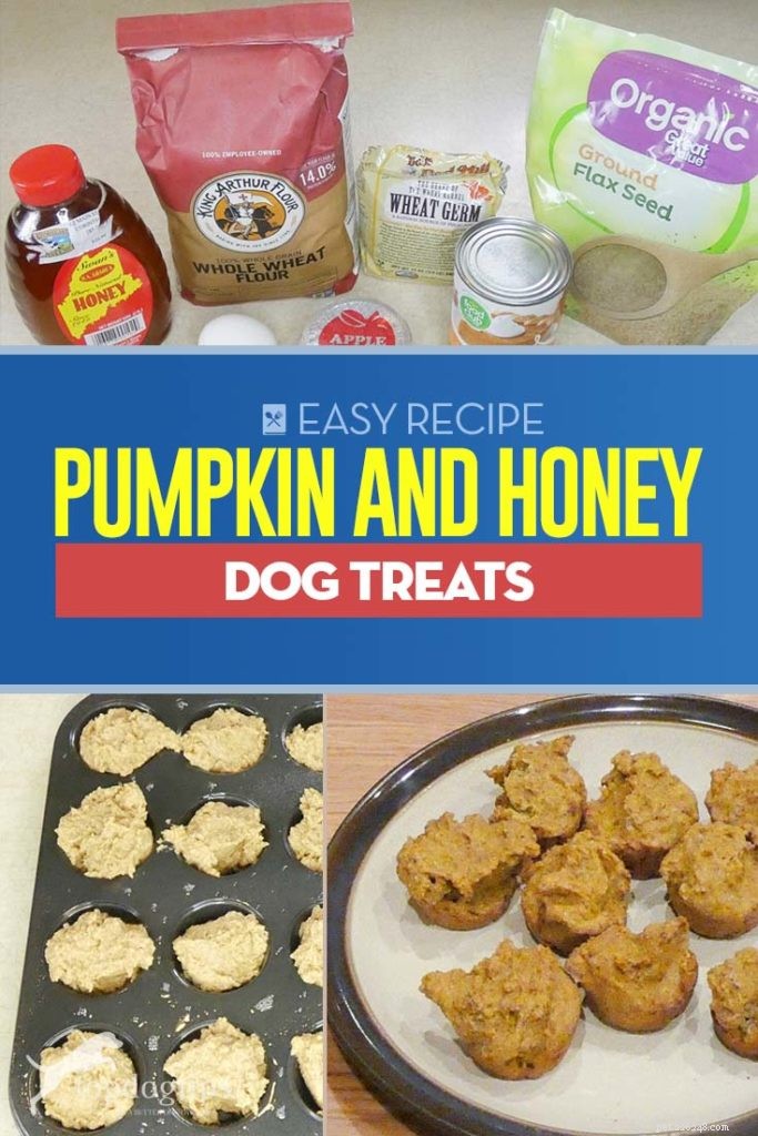 Recept:Pumpkin and Honey Dog Treats
