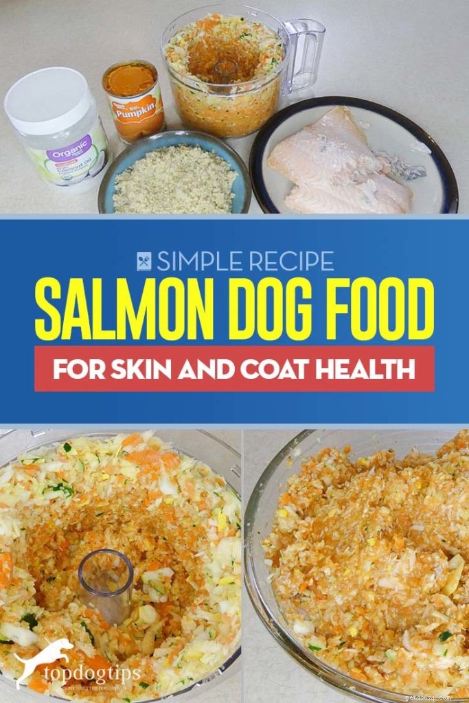 레시피:피부와 코트 건강을 위한 연어 개 사료