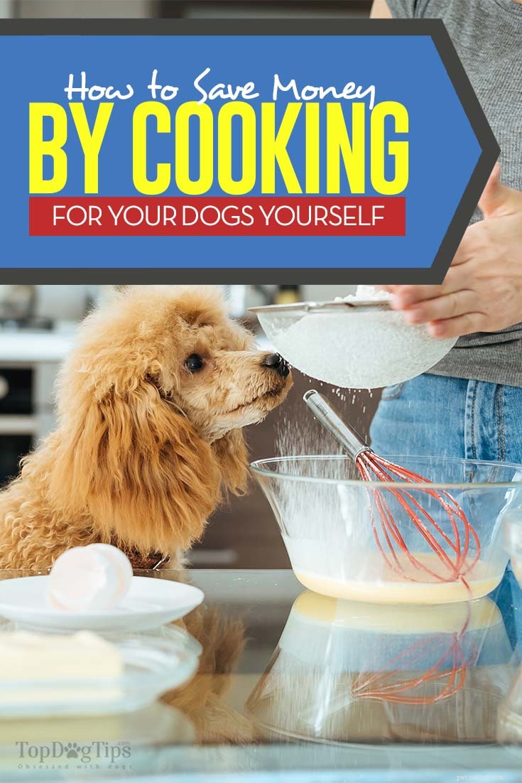 Come risparmiare denaro cucinando cibo per cani fatto in casa