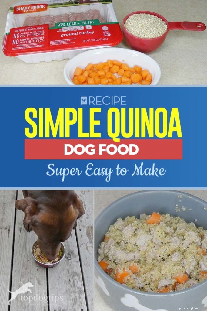 Ricetta:semplice cibo per cani alla quinoa