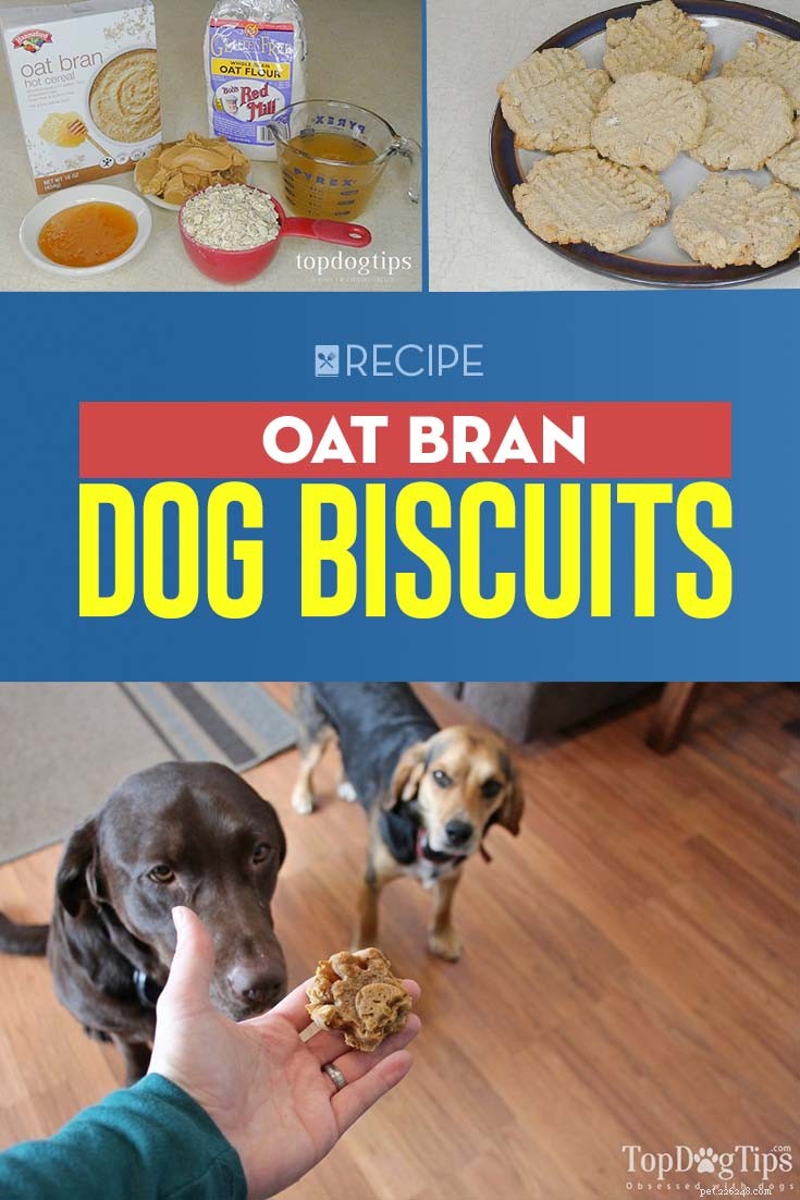 Receita:Biscoitos de farelo de aveia para cachorro