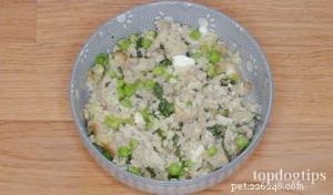레시피:코티지 치즈를 곁들인 수제 개밥