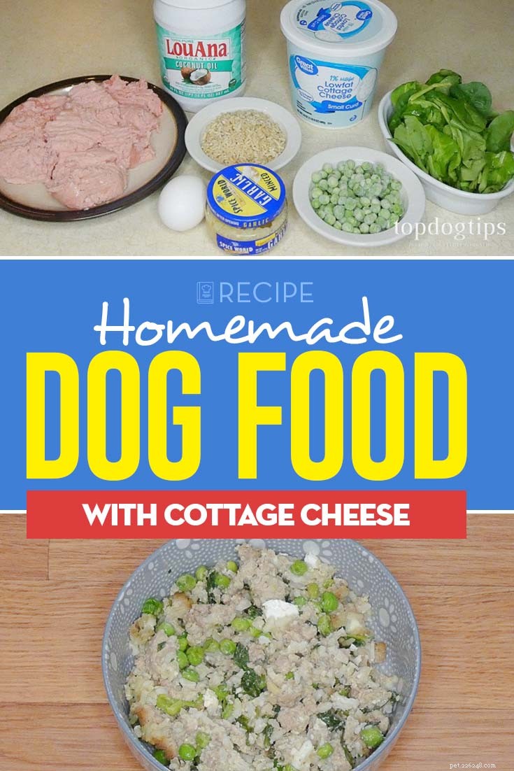 Recette :Nourriture maison pour chien avec fromage cottage