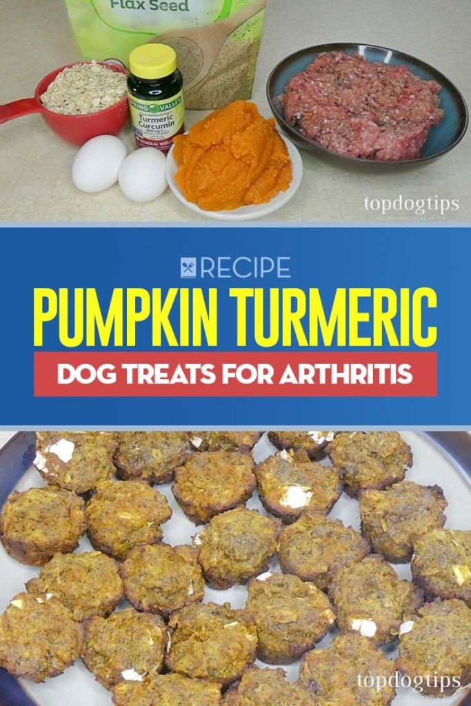 Recept:Pumpkin Gurkmeja Dog Treats for Arthritis