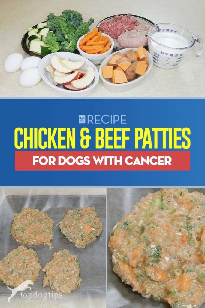 Recept:Kip- en rundvleespasteitjesvoer voor honden met kanker