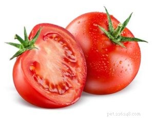 家庭料理のドッグフードレシピのトマト 