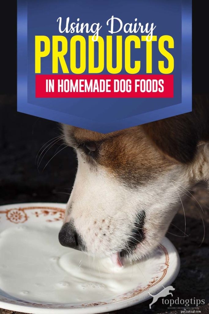 Använda mejeriprodukter i hemlagade hundmatsrecept