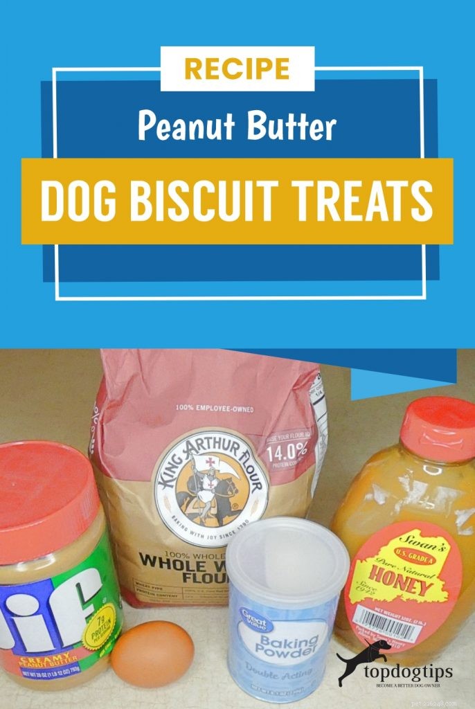 Receita:biscoitos de manteiga de amendoim para cachorro