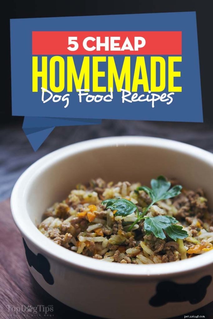 5 recettes de nourriture maison pour chiens bon marché
