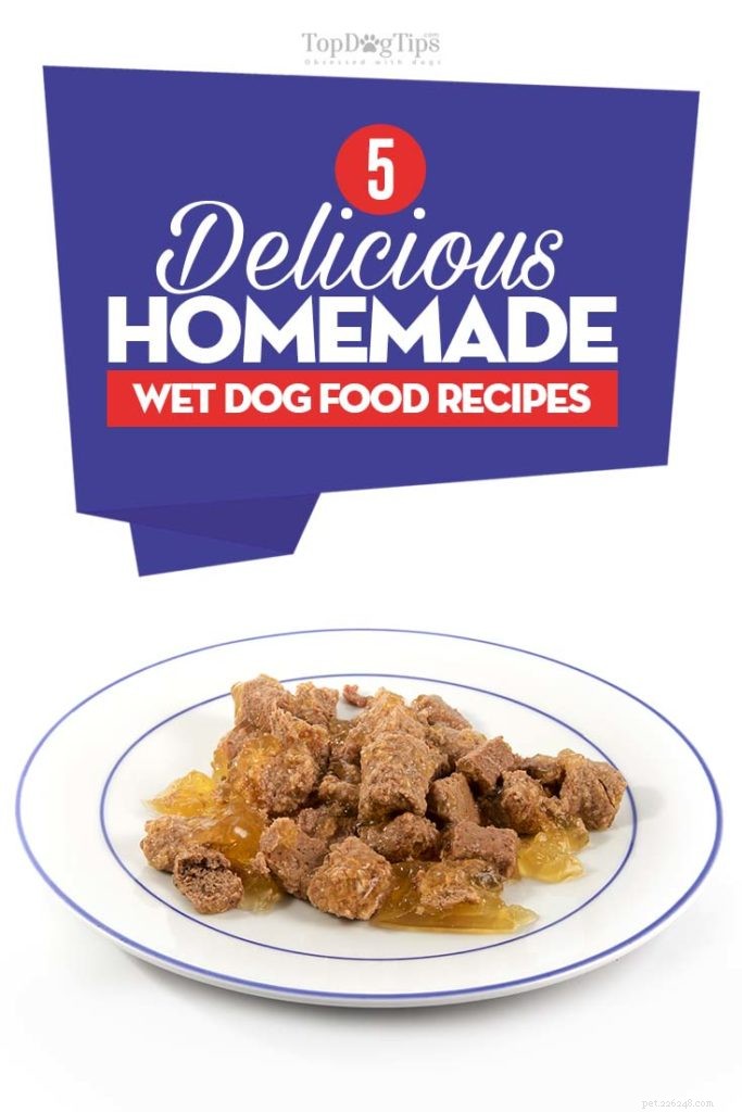 5 receitas caseiras de comida úmida para cachorro