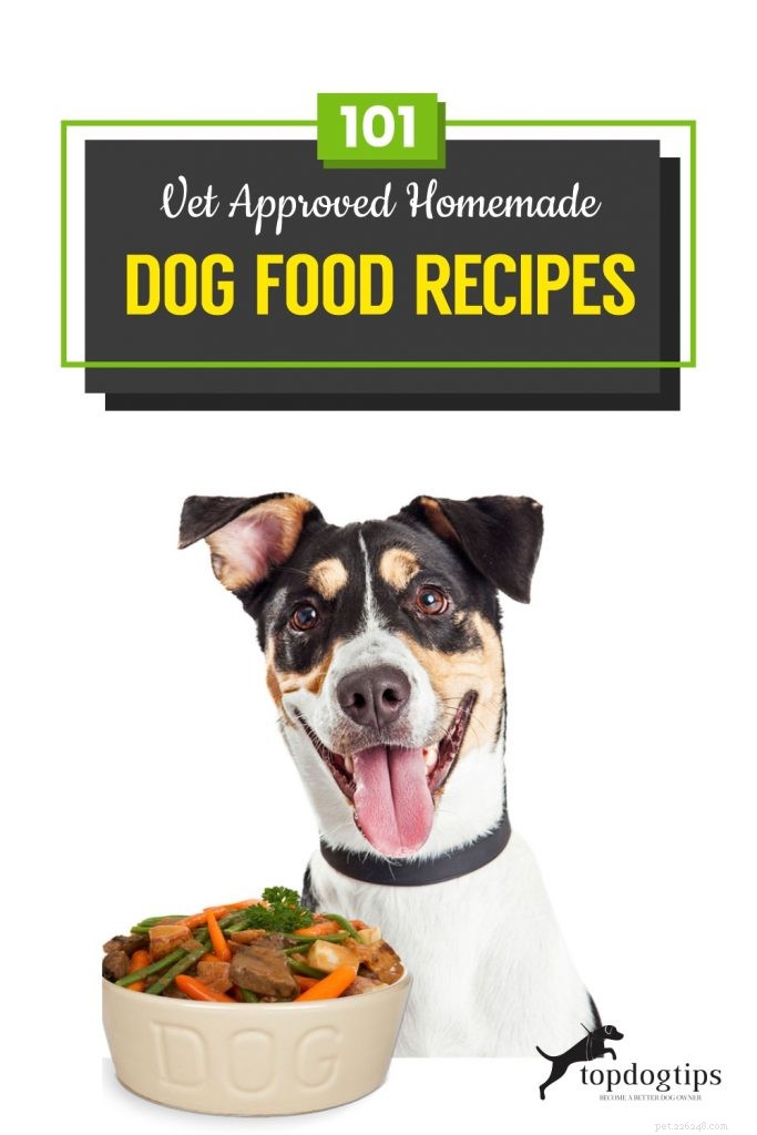 101 одобренный ветеринаром рецепт домашнего корма для собак