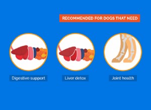 Recept:Bone Broth for Dogs