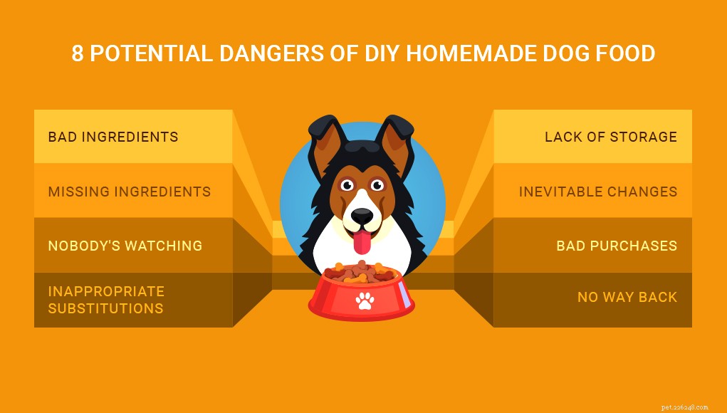 8 potenziali pericoli del cibo per cani fatto in casa fai da te a cui devi prestare attenzione