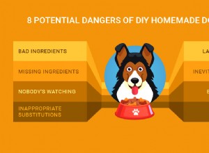 조심해야 할 DIY 수제 개밥의 8가지 잠재적 위험
