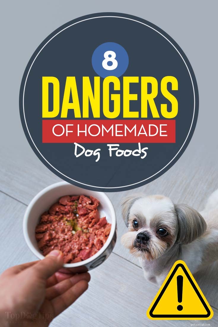 8 potenciálních nebezpečí domácího krmiva pro psy, na které si musíte dát pozor