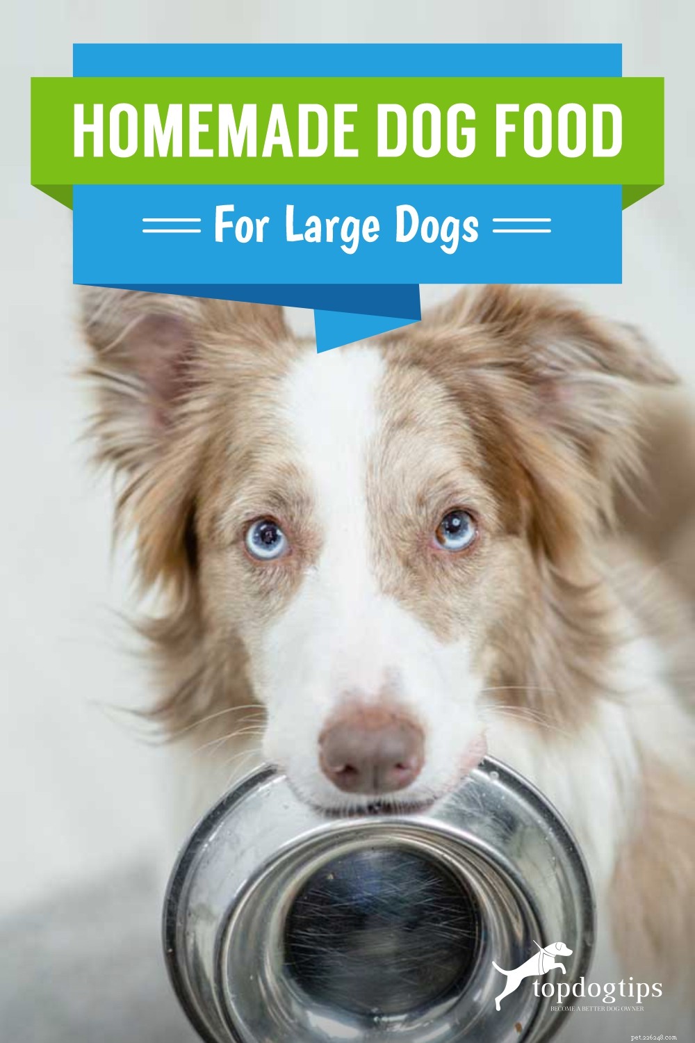 Recept:zelfgemaakt hondenvoer voor grote honden