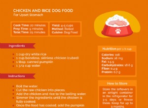 레시피:속이 더부룩한 위장을 위한 닭고기와 쌀로 만든 개밥