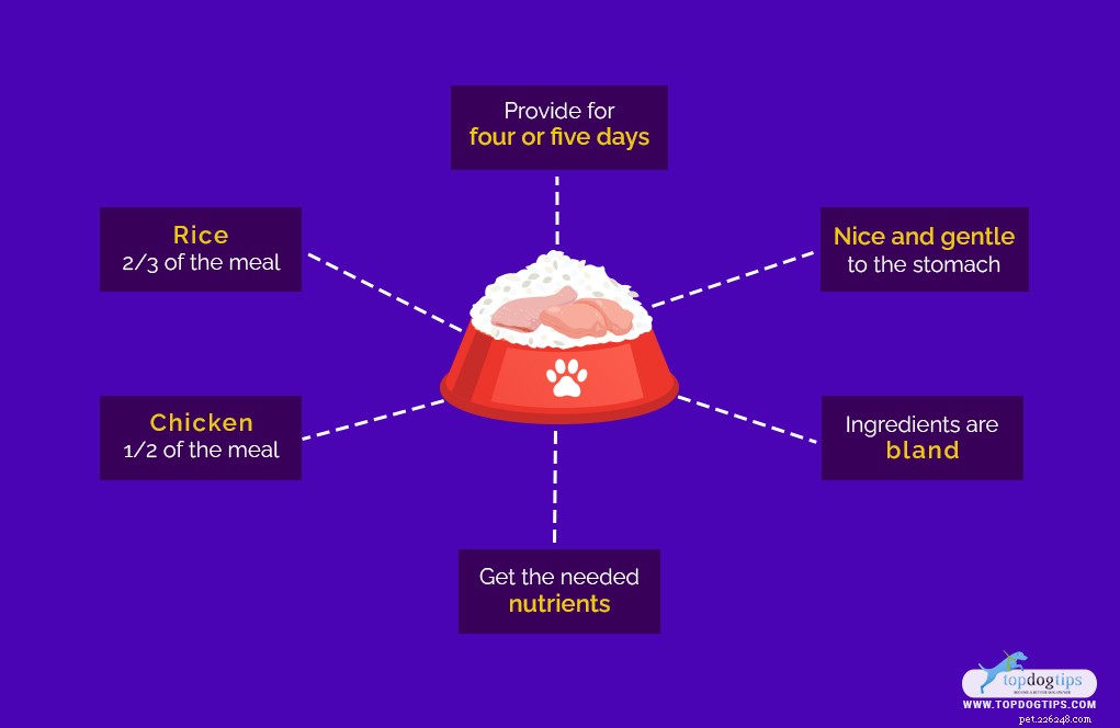 Receita:comida de cachorro com frango e arroz para dor de estômago