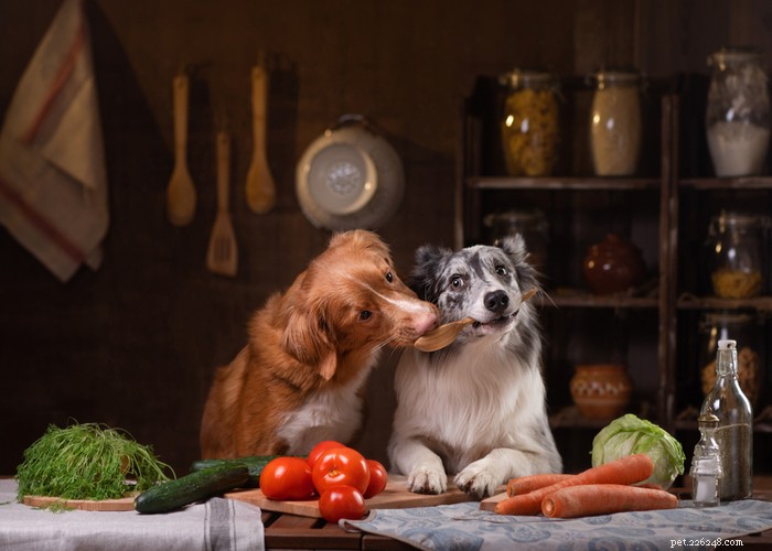 Kolik domácího krmiva pro psy nakrmit vašeho psa