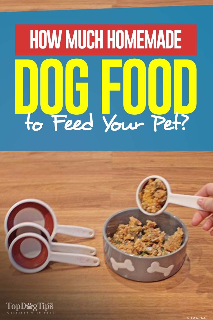 개에게 먹일 수 있는 집에서 만든 개밥의 양