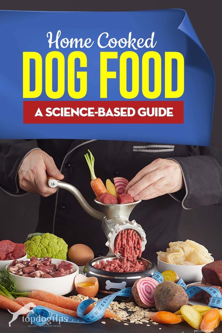 집에서 만든 개밥 요리법에 대한 과학 기반 가이드