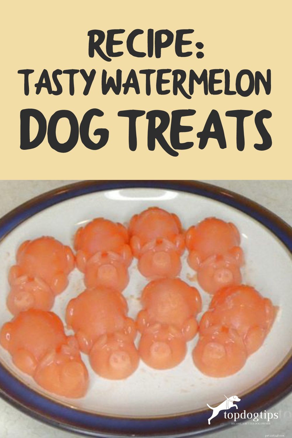 Recept:Läckra vattenmelonhundgodis