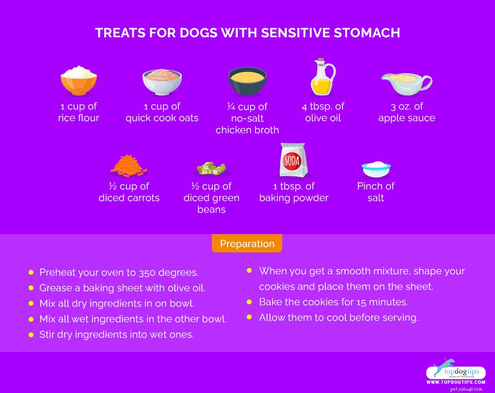 민감한 위장 조리법을 위한 5가지 수제 개밥
