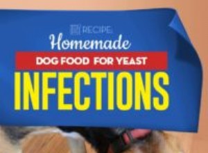 Recept:Hemlagad hundmat för jästinfektioner