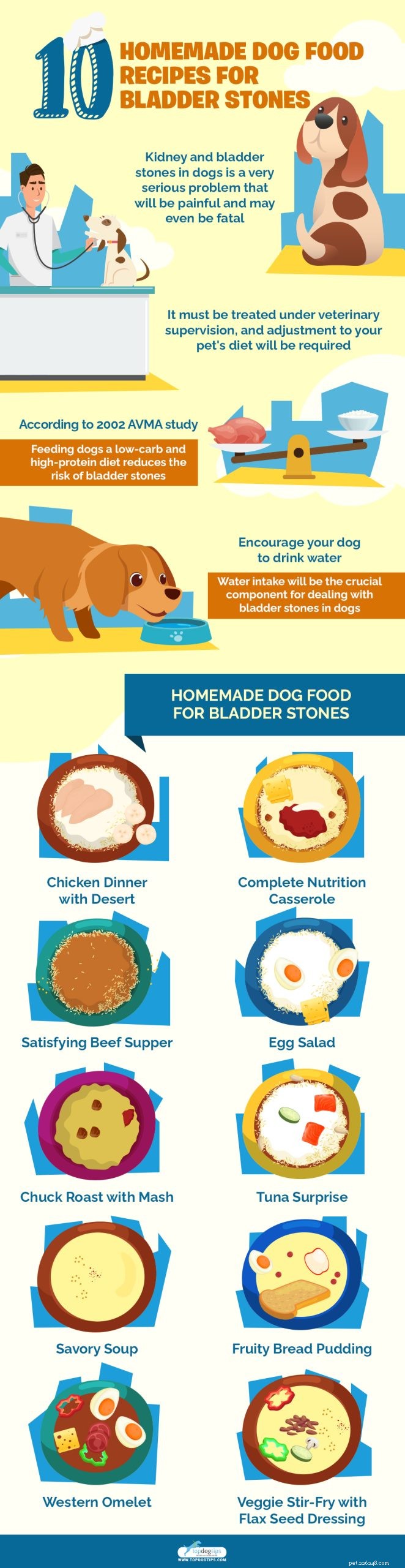 Nourriture maison pour chiens contre les calculs vésicaux, recettes