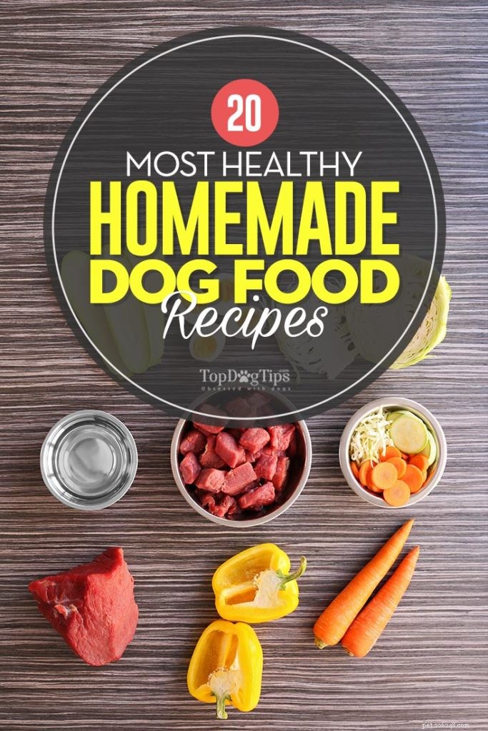 20 ricette casalinghe per cani più salutari